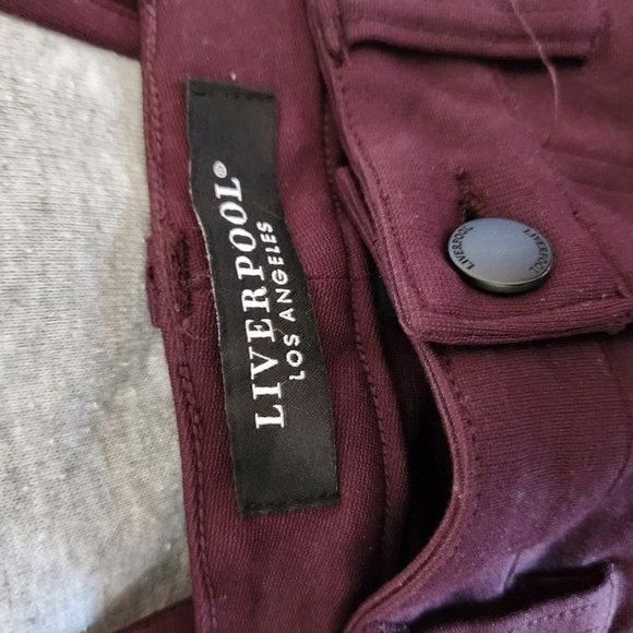 Liverpool Dark Plum Pants - Picture 4 of 8